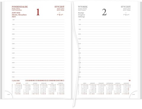 Kalendarz Vivella A5 Dzienny 216 A5DB czerwony 2025 WOKÓŁ NAS Wokół Nas
