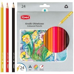 Kredki szkolne TRÓJKĄTNE drewniane 2-stronne 18cm - 24 kolorowe mix TO-542 Toma Toma