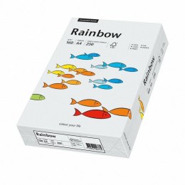 Papier xero A4 160 j.szary 250aR93 RAINBOW 88042791/84 (X) Rainbow