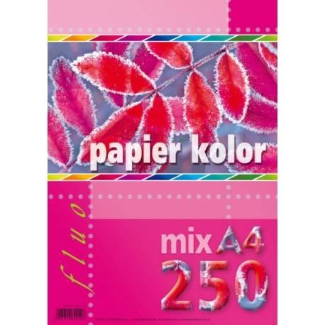 Papier kredowy A4 FLUO mix 5 kolorów (250 arkuszy)5kol KRESKA Kreska