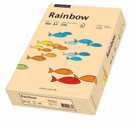 Papier xero A4 160g j.różowy 250a R54 RAINBOW 88042527/23 Rainbow