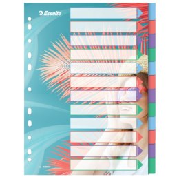 Przekładki ColourBreeze PP A4, 12 przekładek Esselte 628501 Esselte