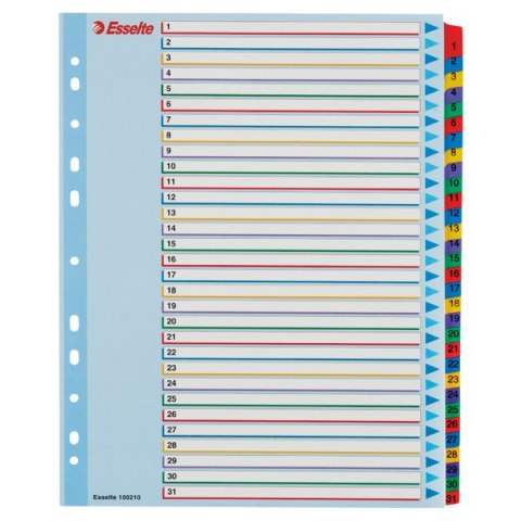 Przekładki kartonowe MYLAR A4 MAXI 1-31 ESSELTE 100210 Esselte