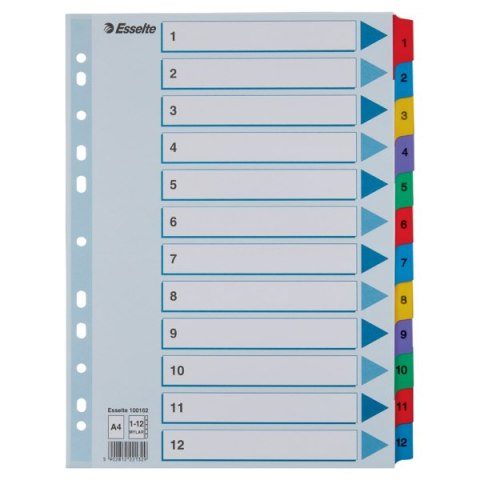 Przekładki kartonowe MYLAR A4 1-12 100162 białe ESSELTE Esselte Przekładki kartonowe MYLAR A4 1-12 100162 białe ESSELTE Esselte