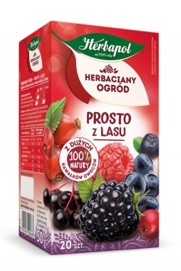 Herbata HERBAPOL HERBACIANY OGRÓD Prosto z Lasu 20t Herbapol