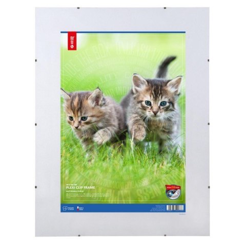 Antyrama plexi 500x600mmm ANP50x60 MEMOBOARDS Memobe