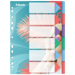 Przekładki ColourBreeze PP A4, 6 przekładek Esselte 628499 Esselte