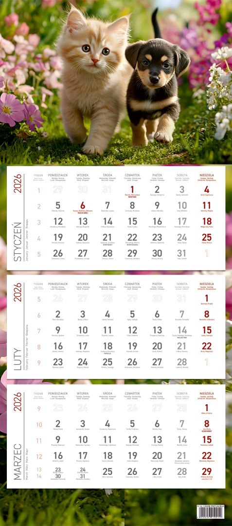 Kalendarz trójdzielny ekonomiczny KS045B PRZYJACIELE 2026 WOKÓŁ NAS Wokół Nas