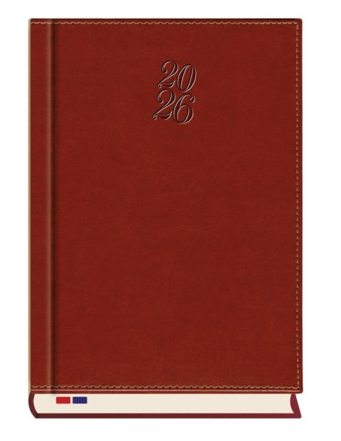 Terminarz Senator A5 2025 Michalczyk i Prokop T-240N-58 kalendarz dzienny + dodatkowe strony po zakończeniu miesiąca Michalczyk i Prokop