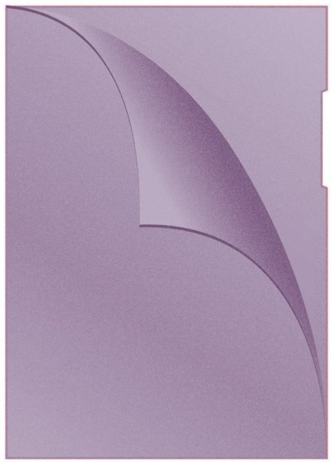 Obwoluta A4 L 120um fioletowa 1785095-23 Biella