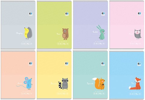 Zeszyt A5 16 3-lin.kolor B&B 90g INTERDRUK Interdruk