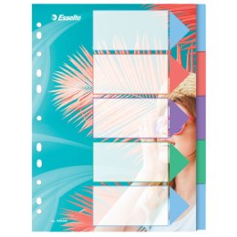 Przekładki ColourBreeze PP A4, 5 przekładek Esselte 628498 Esselte