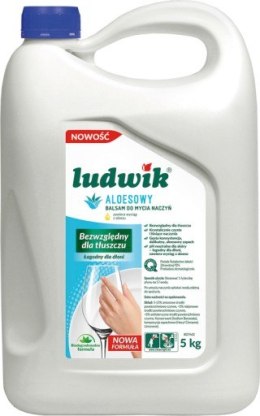 LUDWIK Płyn do naczyń 5L balsam z aloesem 43685 Ludwik