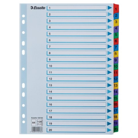 Przekładki kartonowe MYLAR A4 1-20 100163 białe ESSELTE Esselte