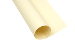 Karton kolorowy Creatinio A2 160g 25ark nr.12 kremowy 400150157 TOP-2000 Top 2000
