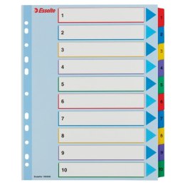 Przekładki kartonowe MYLAR A4 MAXI 1-10 ESSELTE 100208 Esselte