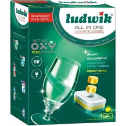 Tabletki do zmywarek LUDWIK ULTIMATE 120 tabletek Sun Professional